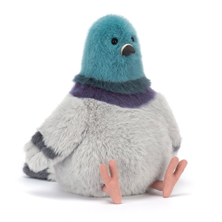 Strutton Pigeon