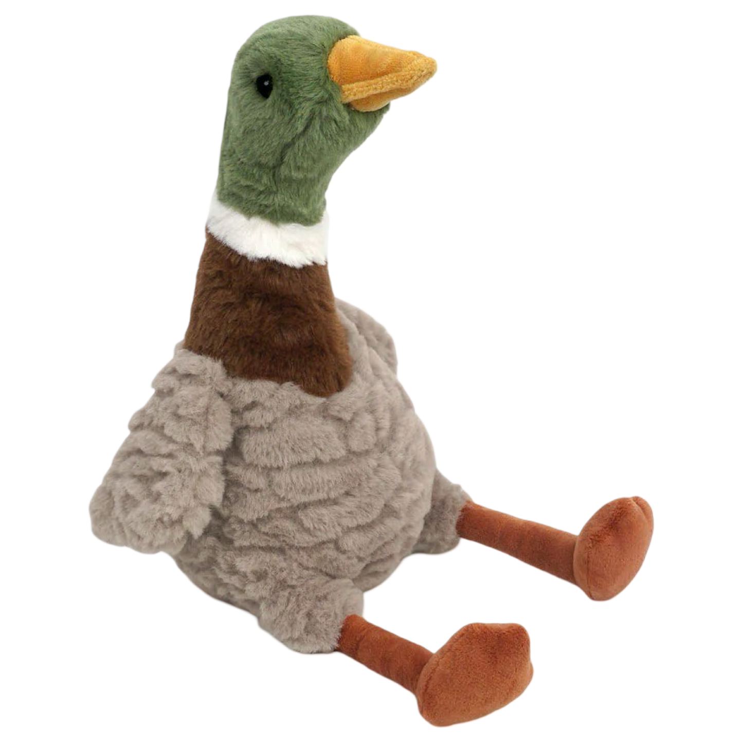 River Mallard Duck