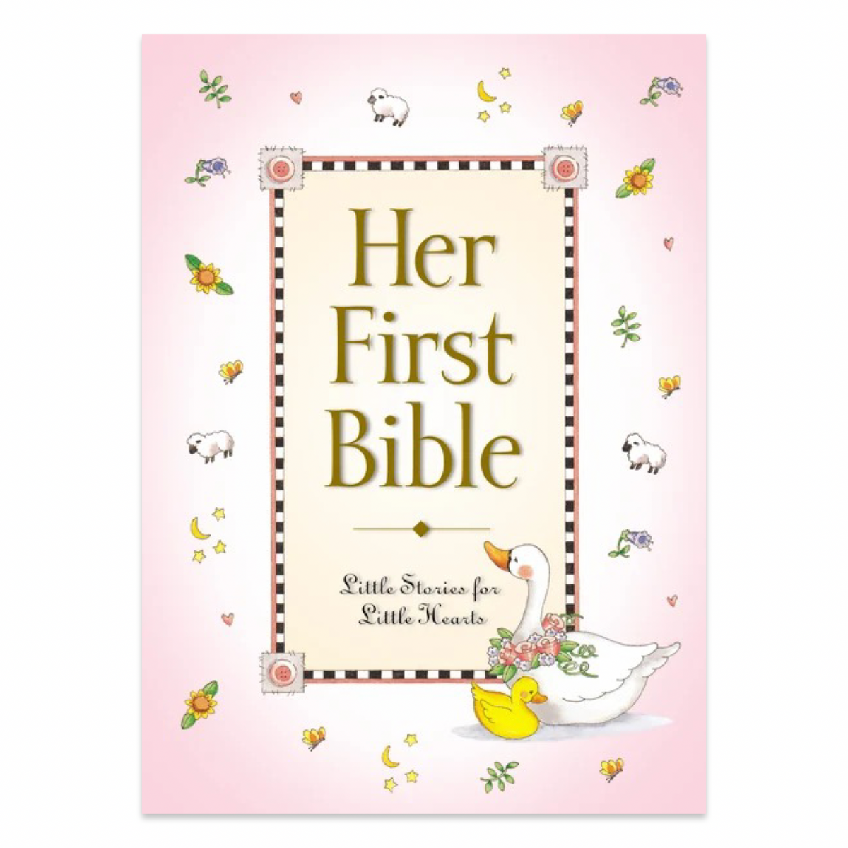 First Bible