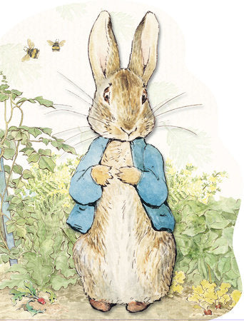 Peter Rabbit Book