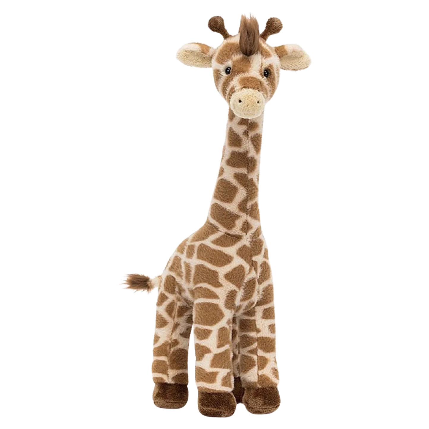 JC Dara Giraffe