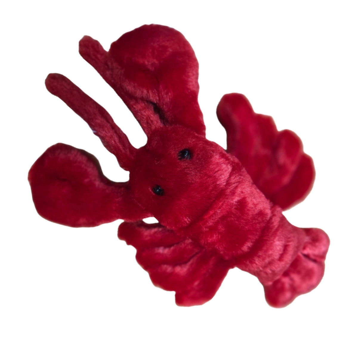 Canned Plush - Louisiana