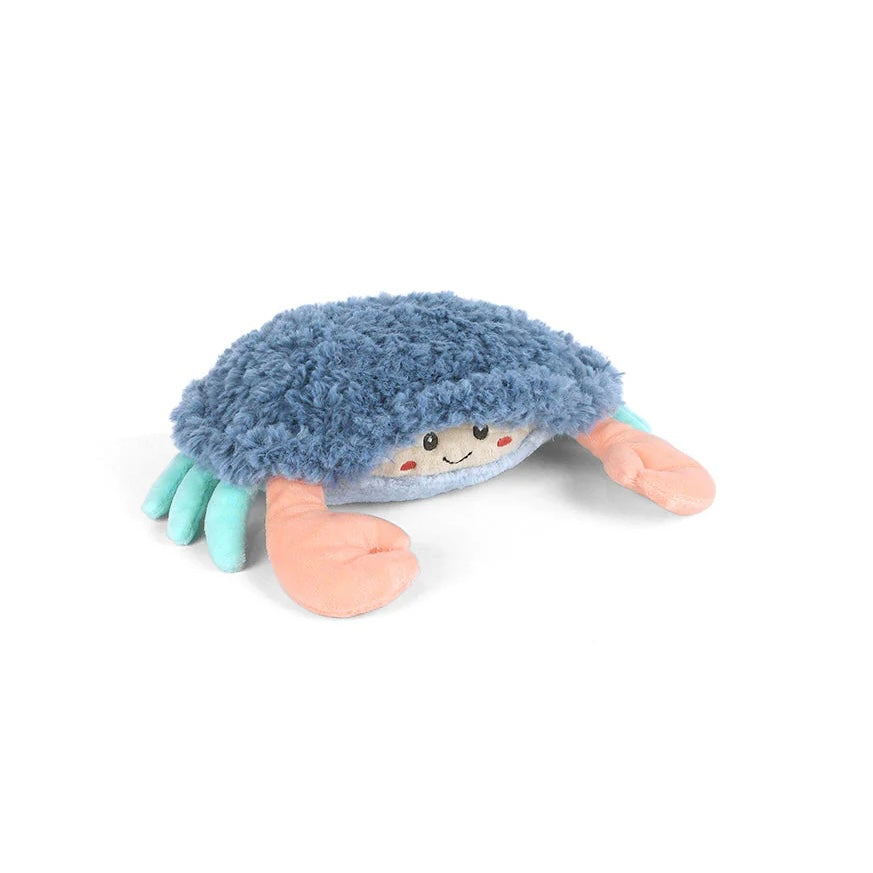 Shaggy Shy Crab