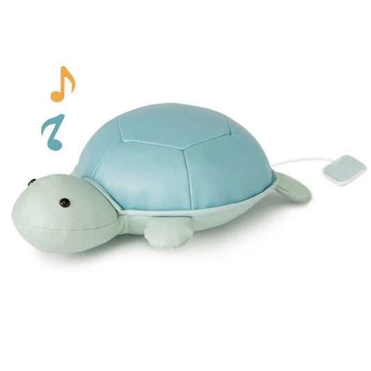 Musical Animal - Turtle