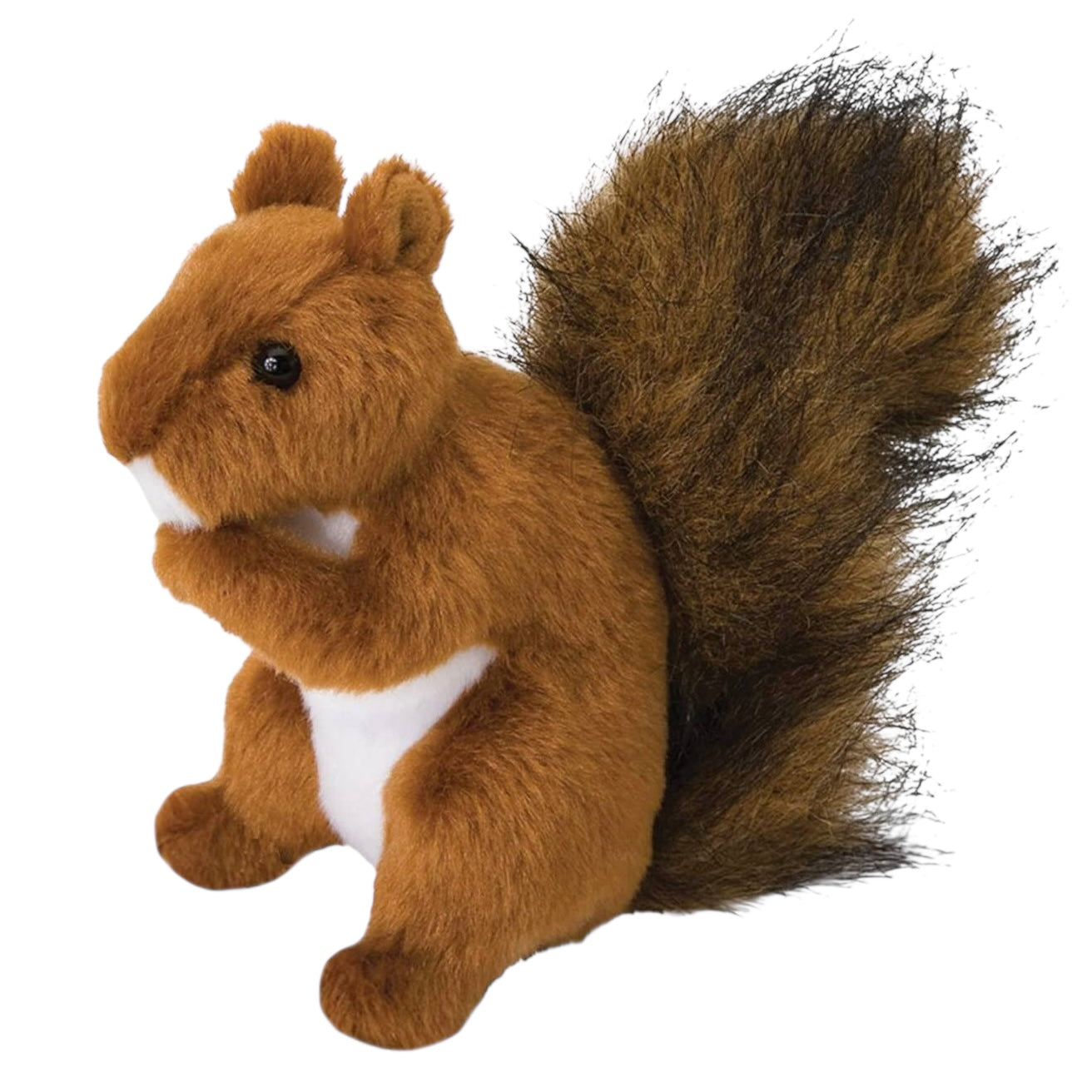 Roadie Red Squirrel