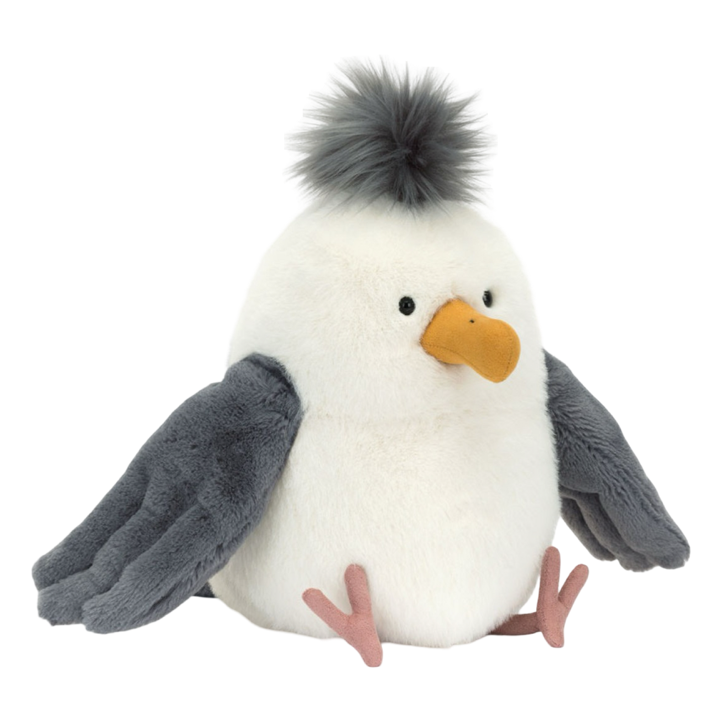 Chip Seagull