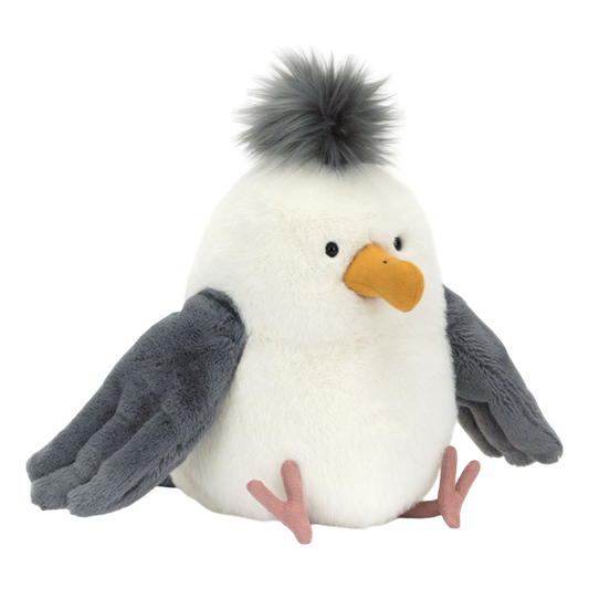 Chip Seagull