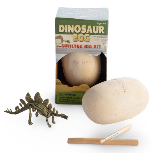 GC Dinosaur Egg Skeleton Dig Kit