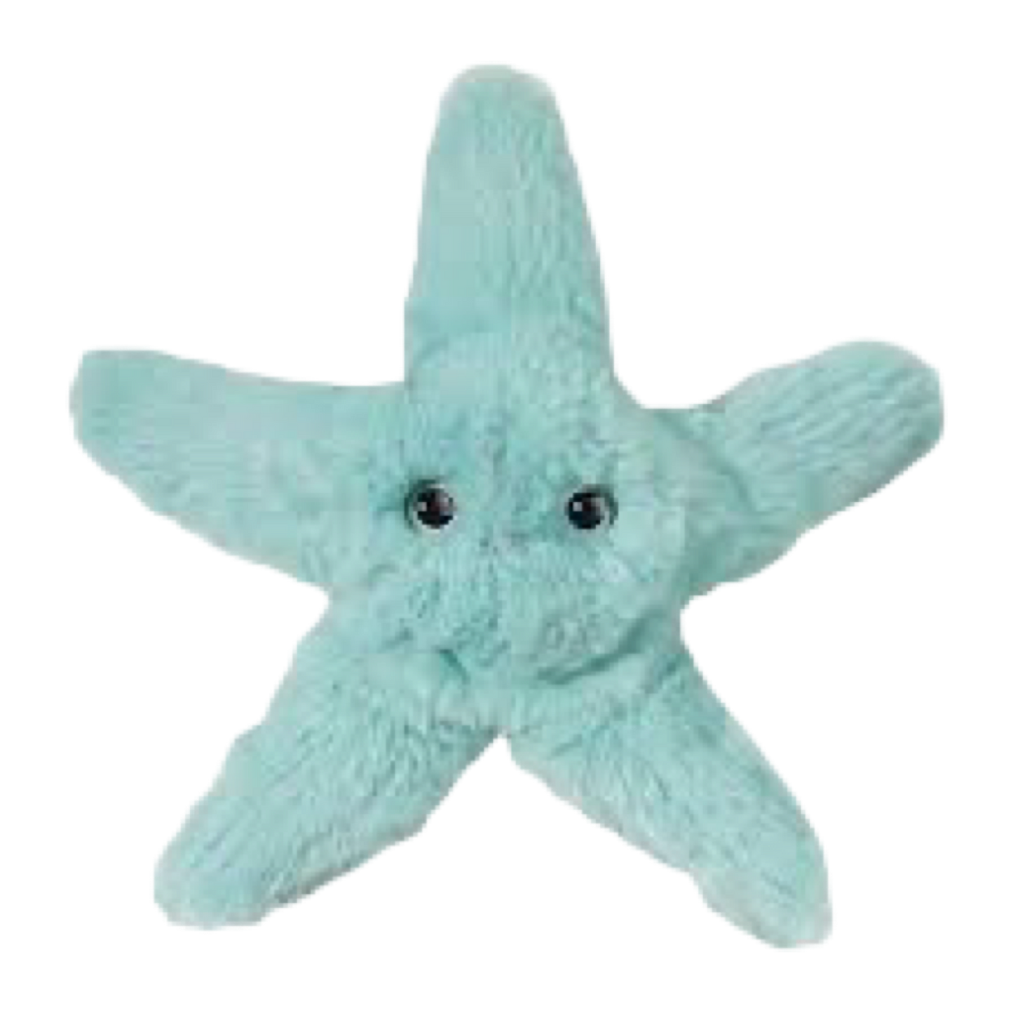 Angie Starfish