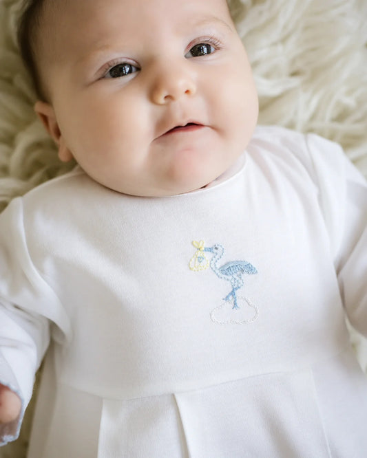 Embroidered Gown - Just Delivered Blue