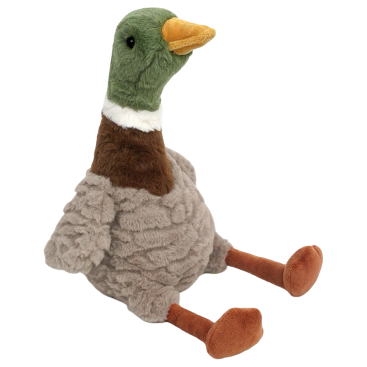 River Mallard Duck