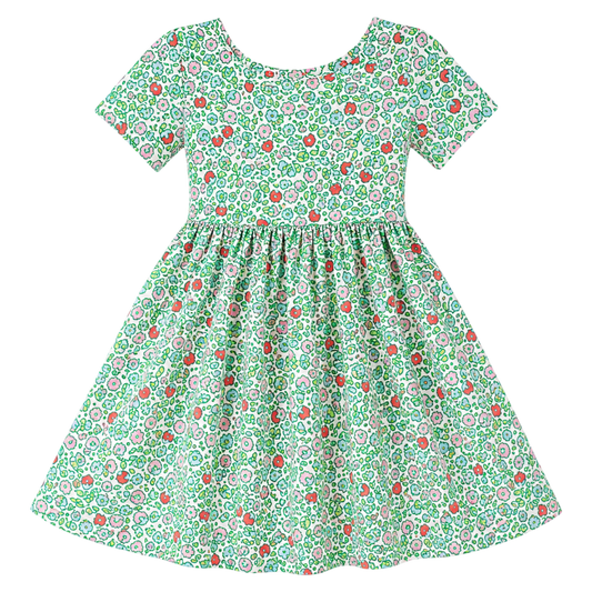 Twirl Dress - Spring Green Floral