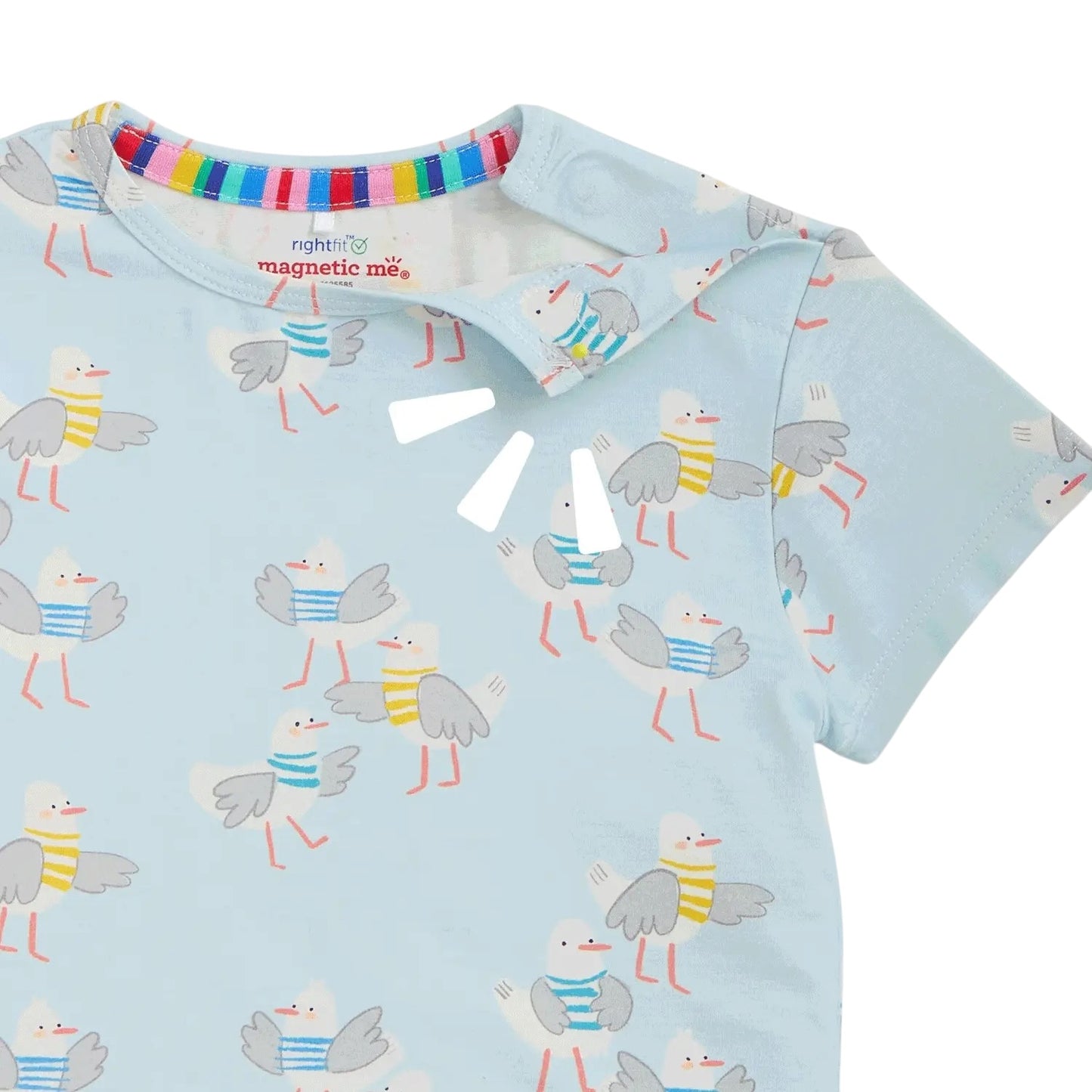 Magnetic Short Set - Seagull