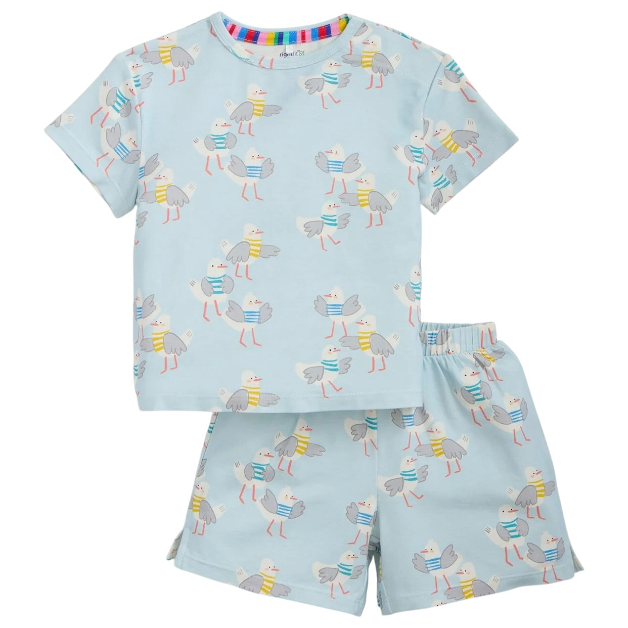 Magnetic Short Set - Seagull