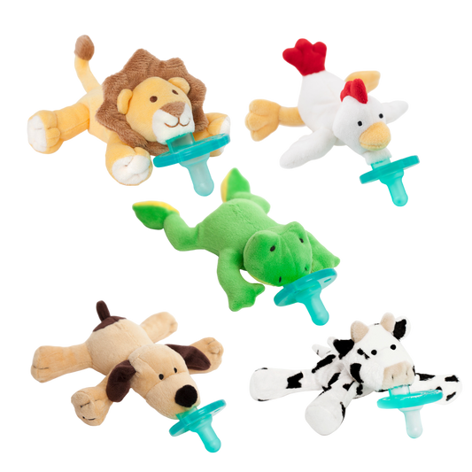 Infant Pacifier