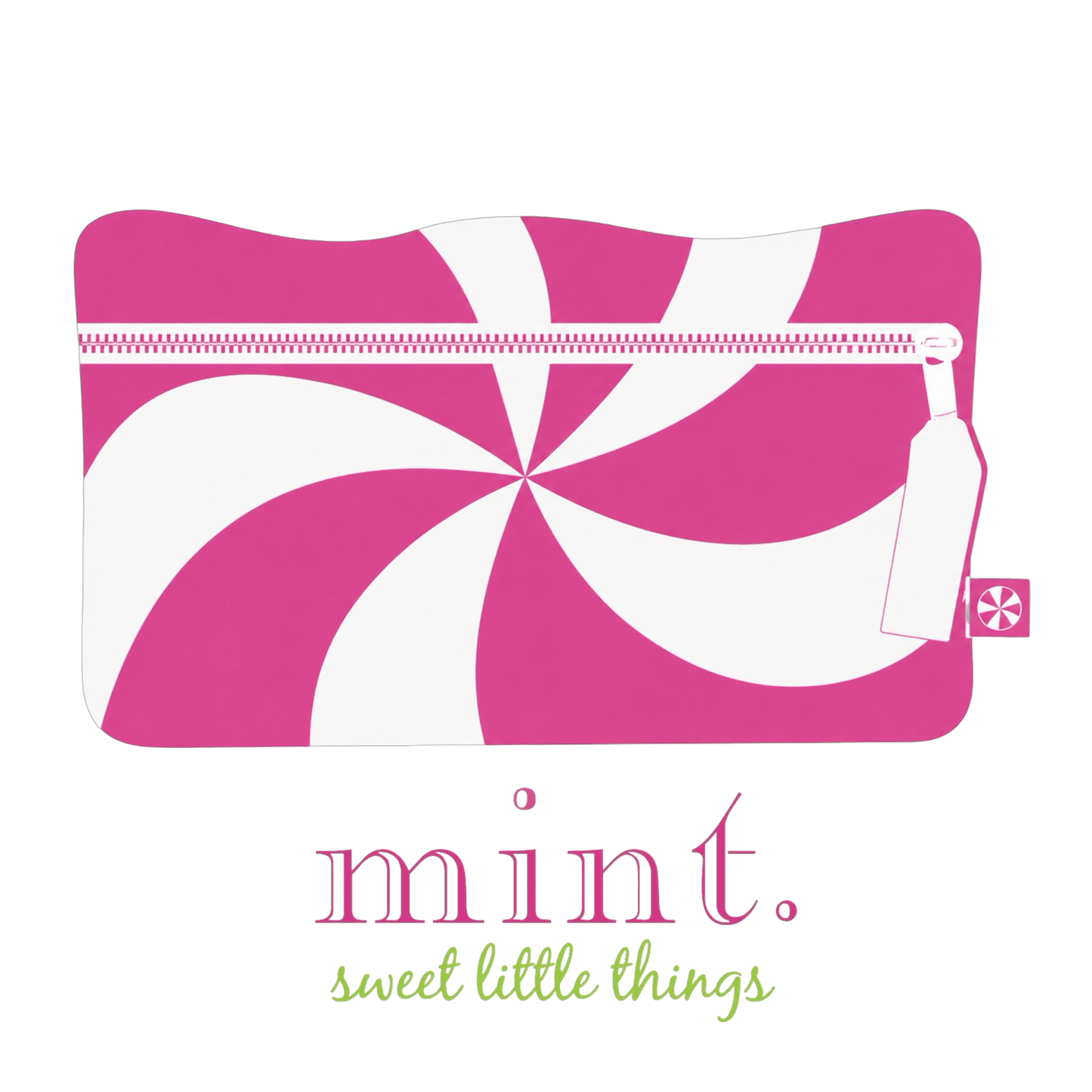 Mint Cosmo Bag