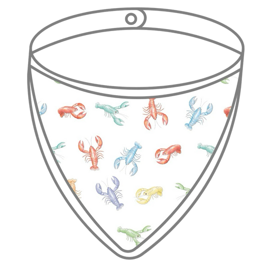 Muslin Bib - Colorful Claws