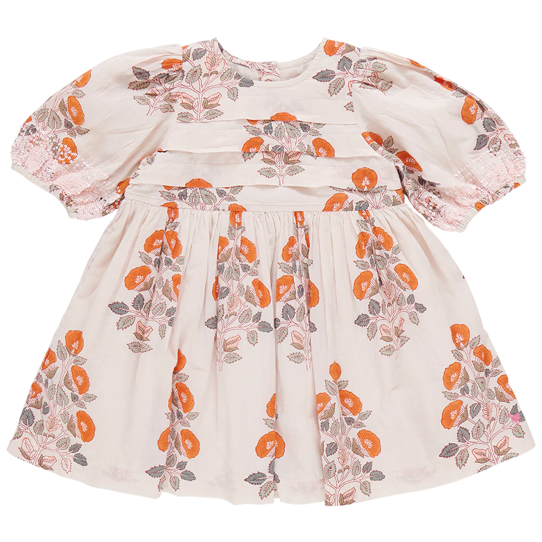 Pink Chicken Evelyn Dress - Cloud Floral