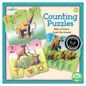 EEB Counting Puzzle