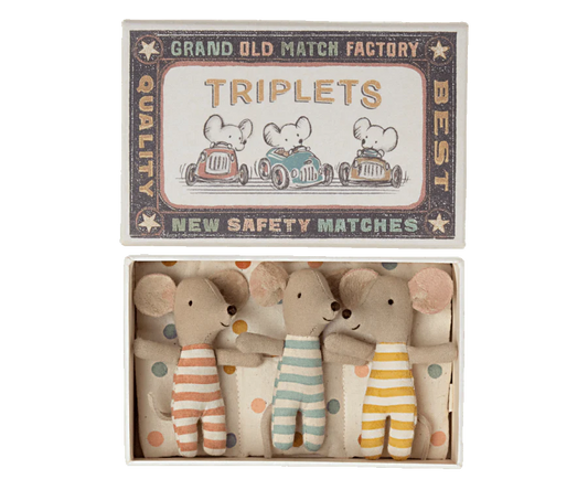 Baby Mice Triplets