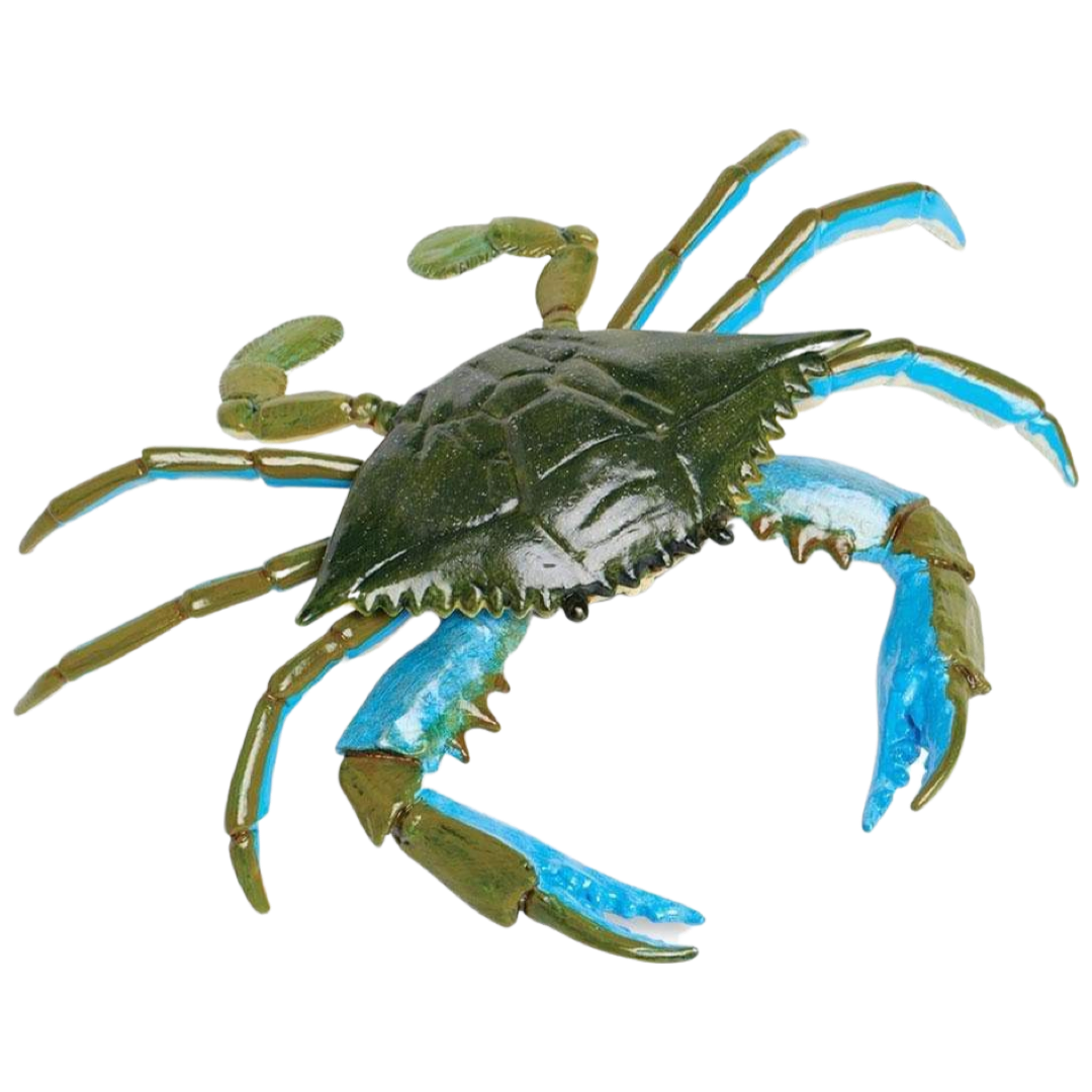 SF Blue Crab